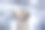 心理健康——选择戴上快乐的面具来隐藏负面情绪。图片下载
