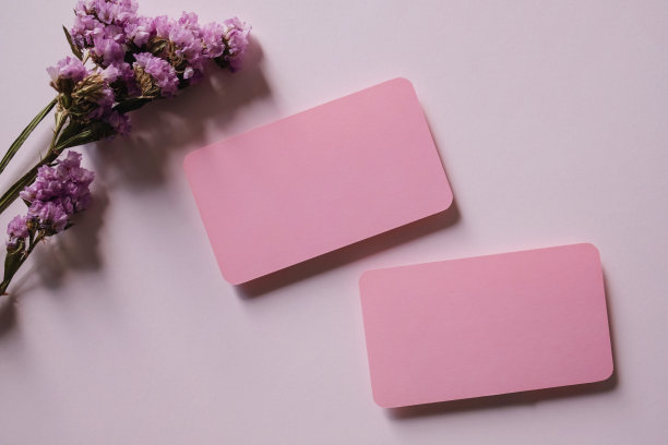 粉红色空白名片模型与干花在白色的背景。模拟演示。图片下载