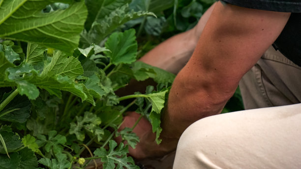 工作的手图片下载