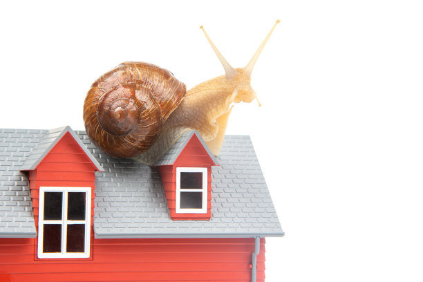 白色背景上的屋顶蜗牛模型。居家舒适和居家生活的概念图片下载