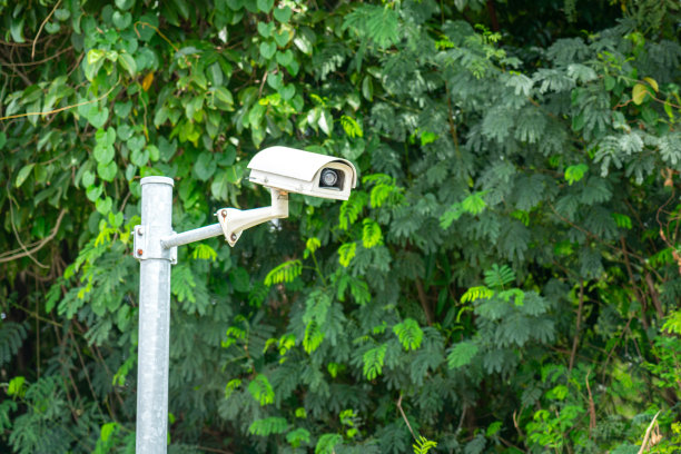 闭路电视安全摄像头用于外部安全。图片下载