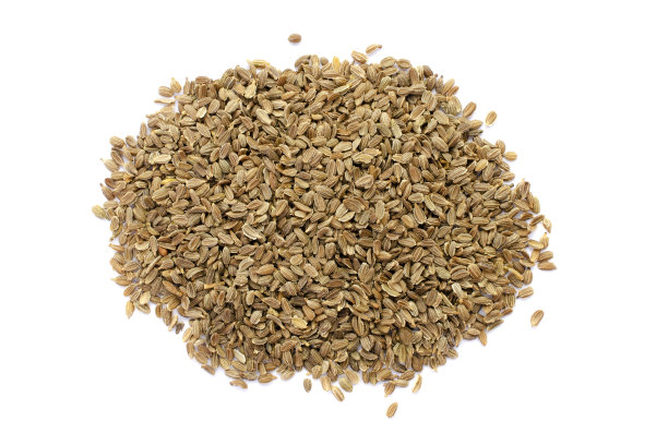 一堆胡萝卜种子孤立在白色背景上，俯视图。白色背景上的胡萝卜种子。胡萝卜种子孤立在白色背景上，俯视图。白色背景上的胡萝卜种子堆。图片下载