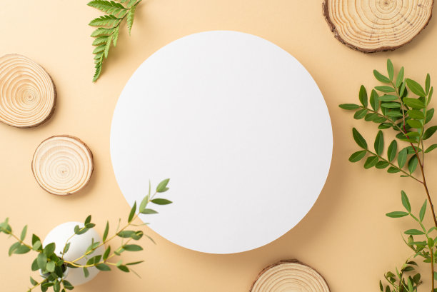 野性自然美的概念。空的圆形框架的俯视图照片，桉树和蕨类树枝和木制支架在孤立的米色背景与复制空间图片下载