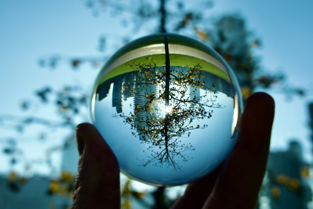 水晶球对着树木和现代建筑图片下载