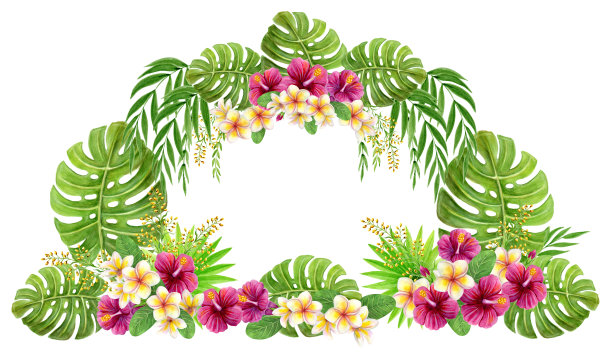 热带花卉框架。水彩画粉红色的芙蓉玫瑰花和棕榈叶。夏季花拱边。图片下载