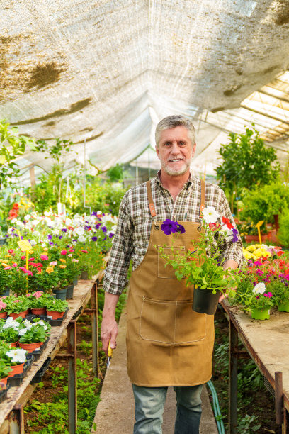 充满活力的肖像:高级高加索人，快乐与矮牵牛花锅，在郁郁葱葱的植物园，迷人的颜色图片下载