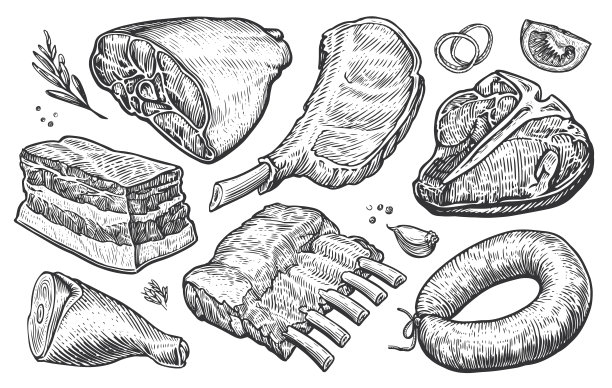 新鲜生肉制品素描图片下载