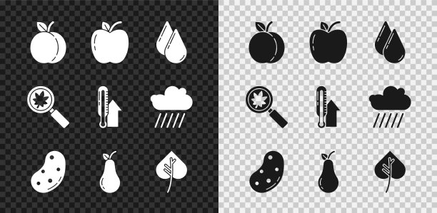 集桃果，苹果，水滴，土豆，梨，叶或叶，放大镜与叶和气象温度计图标。向量图片下载