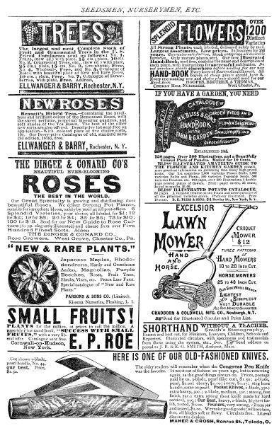 维多利亚时代各种商品和服务的广告- 19世纪图片下载