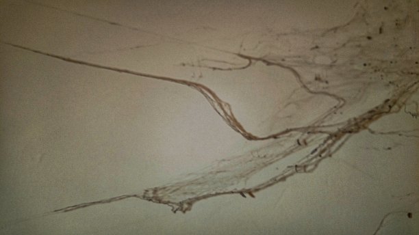 房间的墙壁又脏又满是灰尘，上面还挂着蜘蛛网图片下载