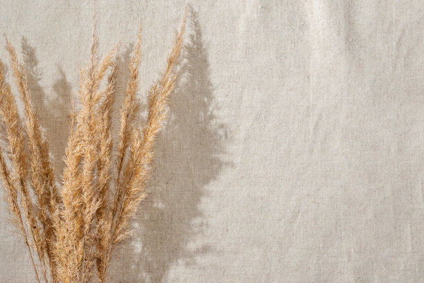 干草甸草茎花束在中性米色亚麻布，审美的夏季背景与阳光阴影，模板与复制空间图片下载