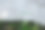 麻帆布上绣着麻字。草地的背景。图片下载