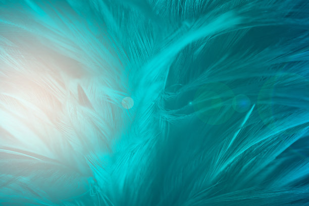 美丽的墨绿色绿复古色趋势羽毛纹理图案背景图片下载