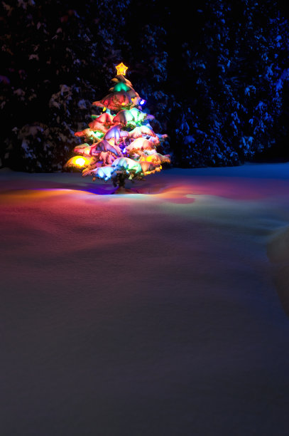 五彩缤纷的圣诞树图片下载