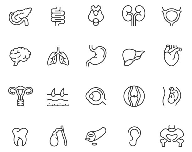 内脏图标集图片下载