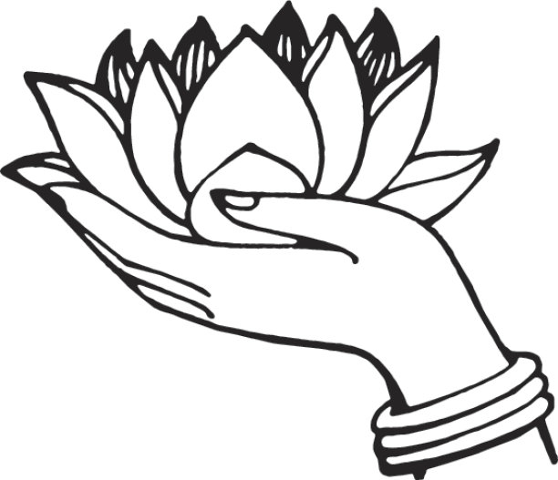 手捧一朵花绽放图片下载