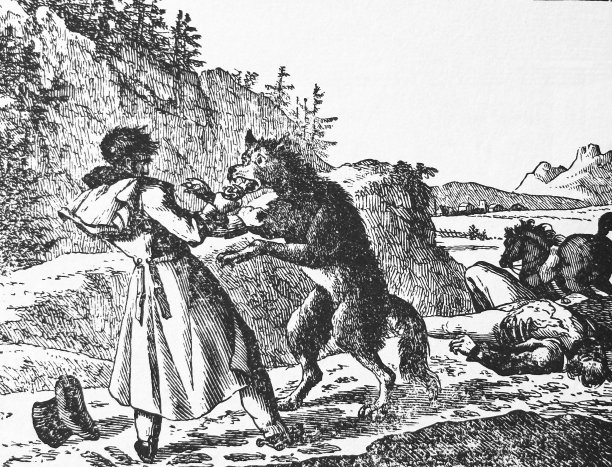 遇到狼图片下载