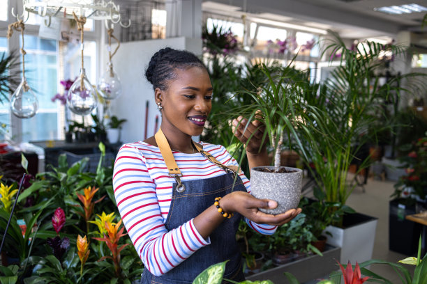 骄傲的黑人女花店老板欣赏她店里的植物图片下载