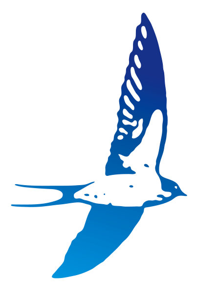 燕子飞图片下载