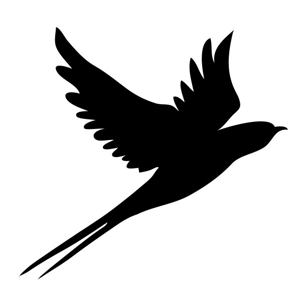 吞下的剪影。孤立的燕子在白色背景。图片下载