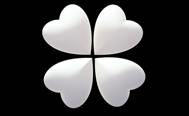 44.白色的心束给我图片下载