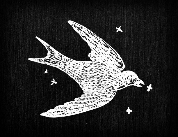 古董雕刻插图:燕子图片下载