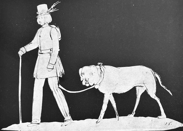 年轻男子带着圣伯纳德犬散步，侧视图片下载