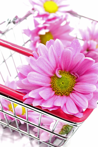 购物车里有粉红色的花图片下载