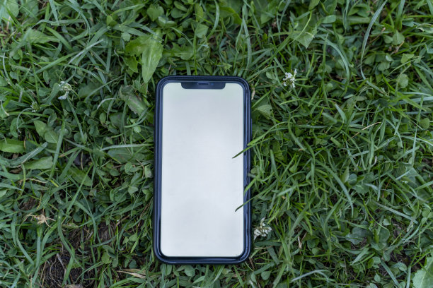 手机站在草坪上的模型图像。图片下载