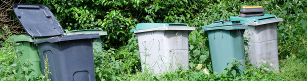 在农村地区，有轮垃圾箱排成一排收集避难所图片下载