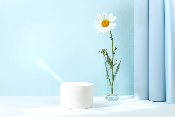 展示产品和商业理念的优质舞台。最小的现代美学。美丽的插花，白色的雏菊，图片下载