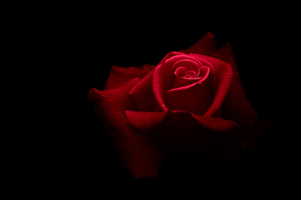 上涨了1图片下载