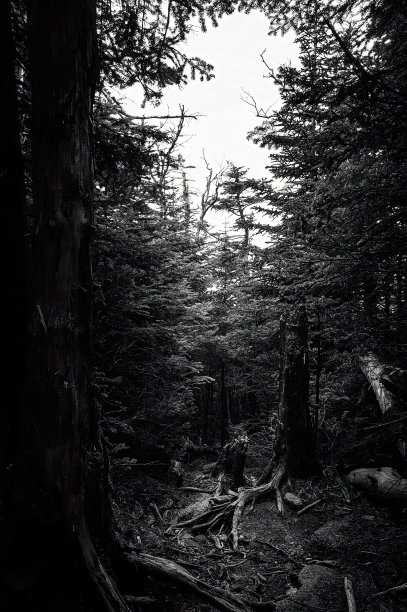 新罕布什尔州怀特山脉的坎农山图片下载