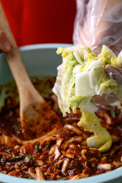 韩式料理，泡菜白菜手煮，自制发酵小菜图片下载