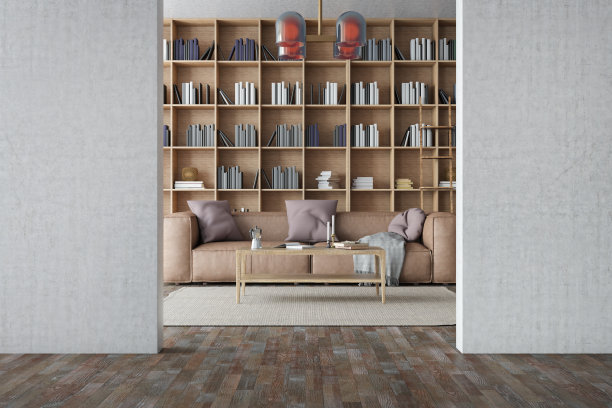 透过白墙带图书馆的客厅图片下载