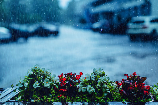 洪水在城市。暴雨。极端天气图片下载