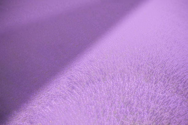 普罗旺斯的薰衣草田，抽象的色彩和阴影图片下载