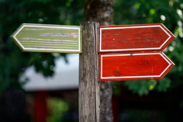 Kleurrijke legge zingt geïsoleerd op bos terground。驱动singboard。图片下载