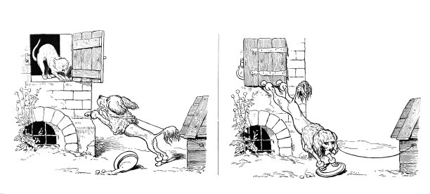 聪明的狗图片下载