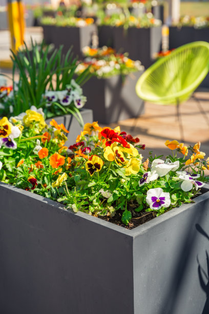 暑假配件，旅游或度假的概念。夏天的背景。图片下载