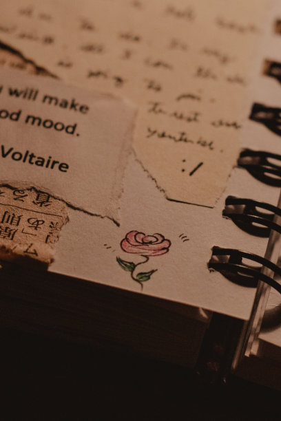 精致的玫瑰涂鸦图片下载