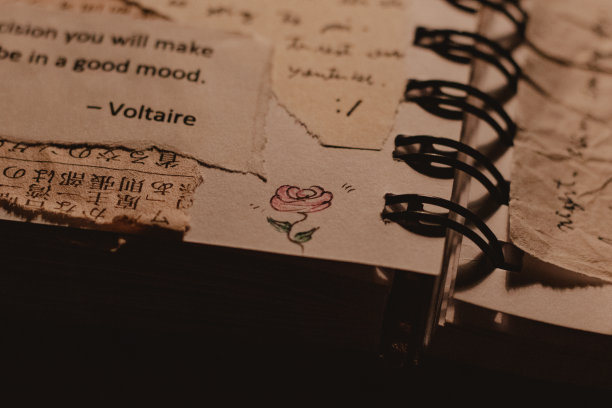 精致的玫瑰涂鸦图片下载