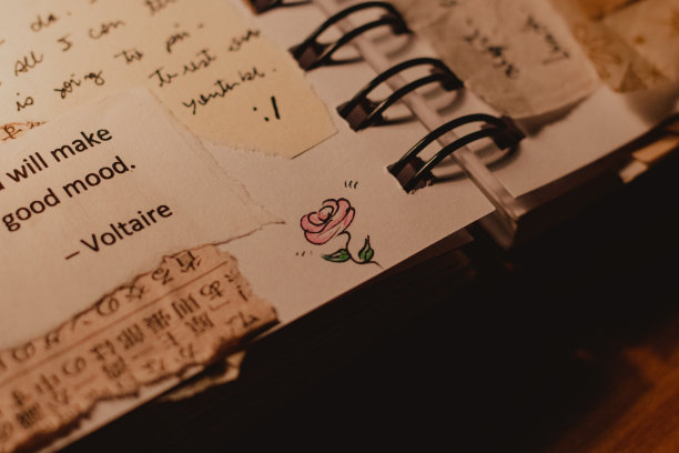 艺术杂志详情图片下载