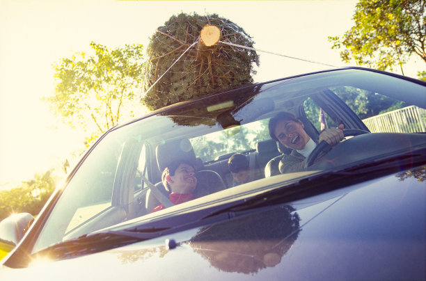 一家人在车顶上搬运圣诞树图片下载