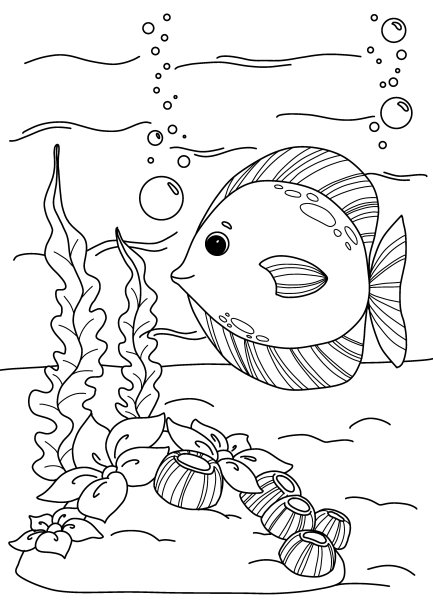 儿童涂色书，海底、鱼类、藻类、珊瑚等系列图片图片下载