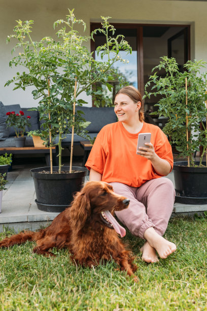 漂亮的爱尔兰塞特狗躺在草地上，旁边的女孩在玩智能手机。夏天，开朗快乐的年轻红发女人和她的狗在房子的院子里放松。全身图片下载