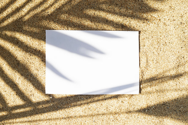 纸上的沙和棕榈枝的影子图片下载