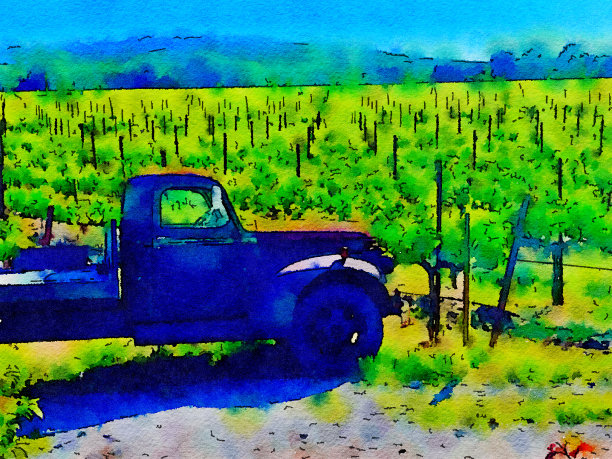 葡萄园锈迹斑斑的卡车图片下载