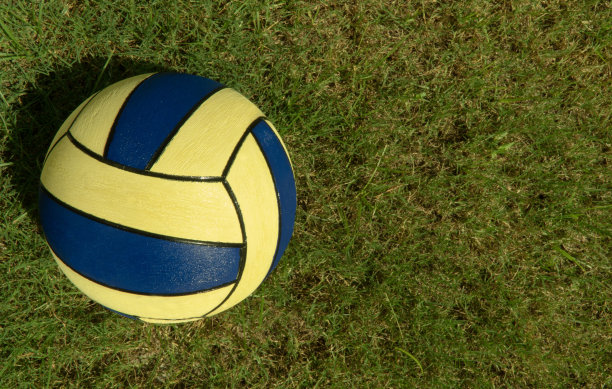 草地上的水球图片下载