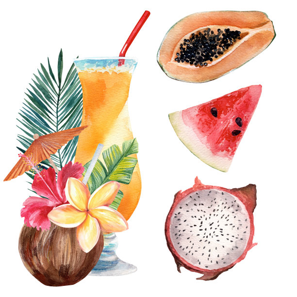 暑假插图集。水彩绘画。孤立的对象。在热带度假胜地度暑假。设计纪念品、明信片、海报、请柬等。图片下载